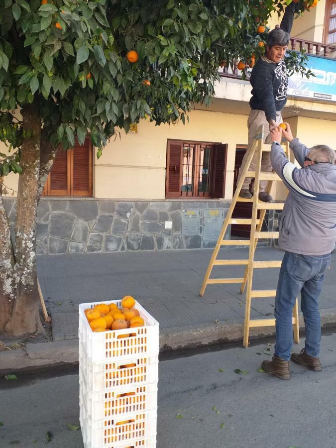 Apartmán La Francisca San Salvador de Jujuy Exteriér fotografie